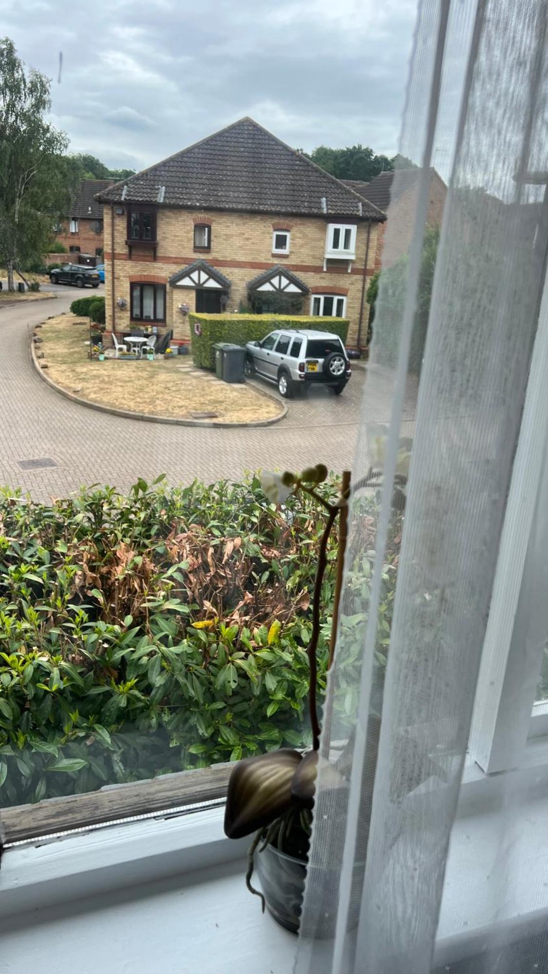 Beautiful Apartment In Guildford With Parking Send Luaran gambar